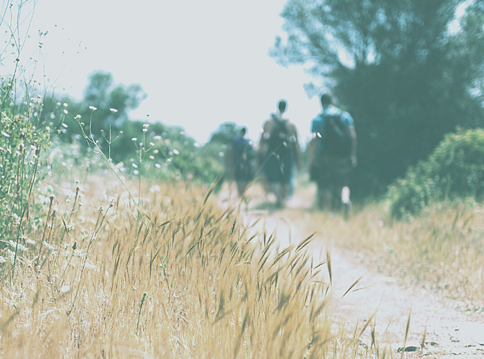 Perché arricchire l'esperienza di vendita?